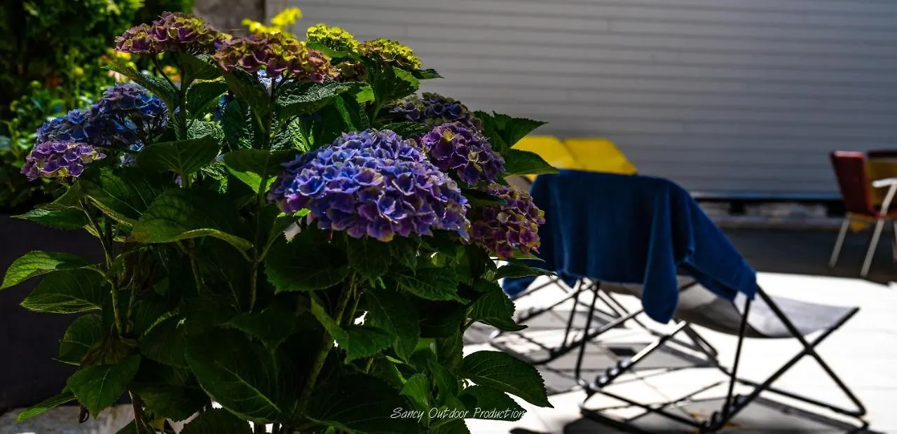 Villa Les Dahlias Le Mont-Dore Apartment